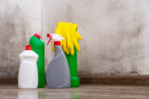 Why You Should Choose Our Mold Remediation Services in Franklin, MI